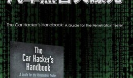 史上最大黑客爆料视频,内幕视频深度解析